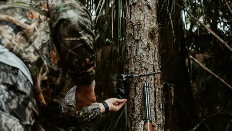 Hunter Finds Cameras Pointed at Mineral Blocks on Private Land — Then the Trespasser Accidentally Photographed Himself Hanging Them