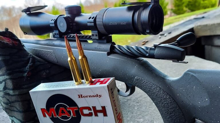 Rifles that make you wonder where the money actually went