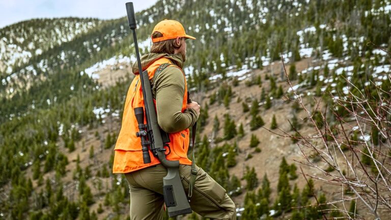 New rifles that deserve more respect