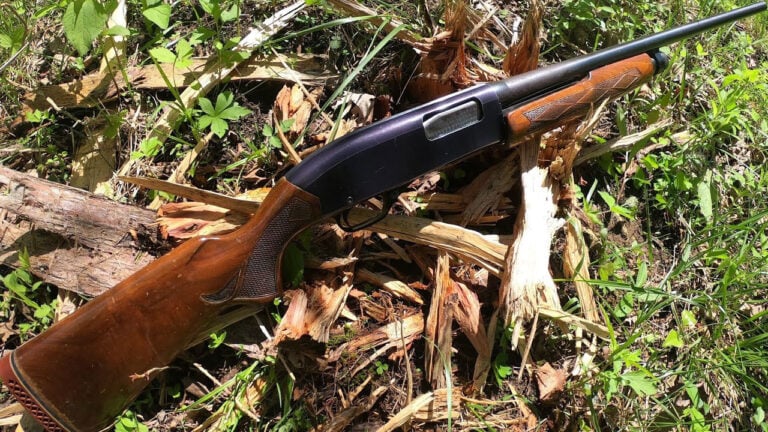 Shotguns That Serious Hunters Have Known About for Years That Nobody in Print Has Written About