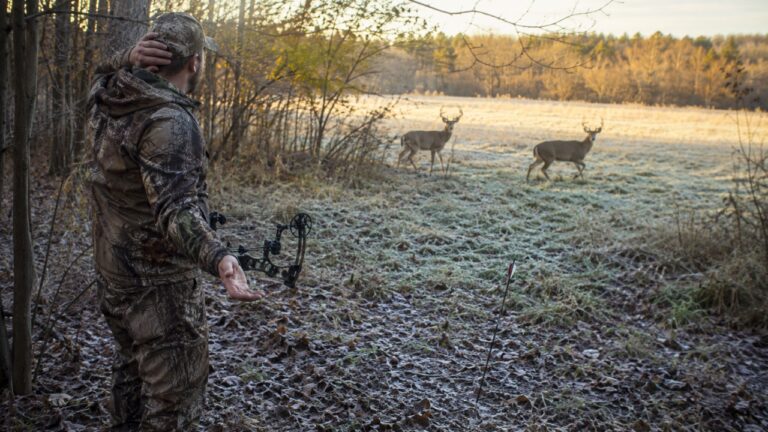 New Bowhunter Had Two Bucks at 20 Yards — Then Buck Fever and a Forgotten Release Sent the Arrow Ten Yards Short