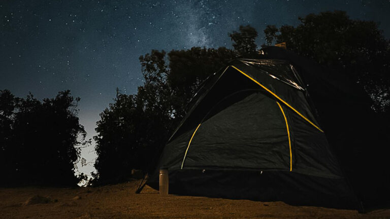 Camper Says They Left in the Middle of the Night After a Mountain Lion Kept Prowling Around Their Site