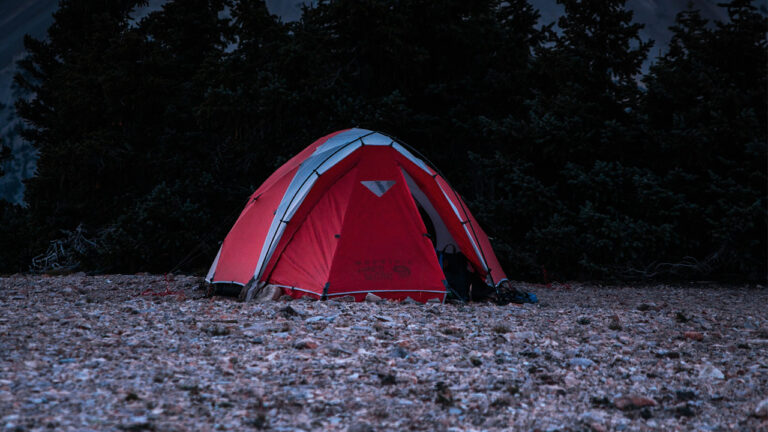 Solo Camper Heard Footsteps Around His Tent at 3 A.M. — Then Turned on the Light and the Whole Woods Exploded With Movement