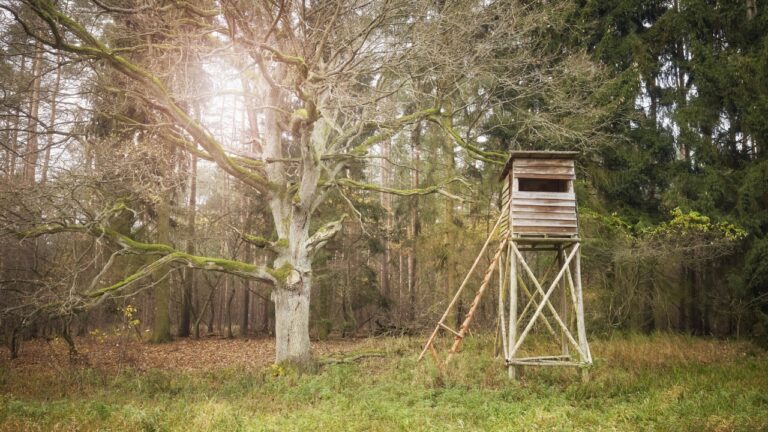Landowner Finds a Deer Stand on Private Property — And It’s Sitting Above the Stands They Already Hunt