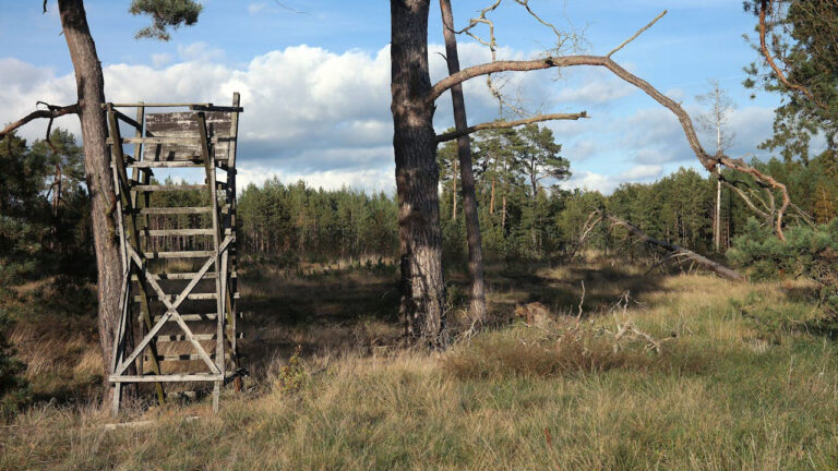 Landowner Finds Free-Standing Deer Stands on His Property — And Wants to Know If He Can Tear Them Down