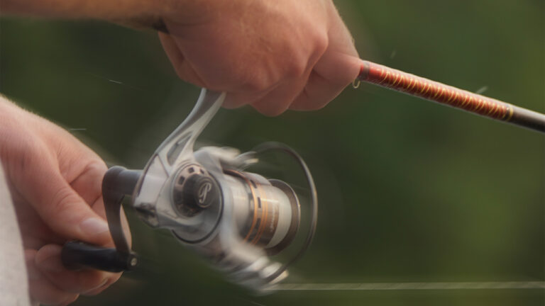 Angler Says Something Nearly Dragged His Rod Into the Water — And the Evening Went From Quiet to Chaos