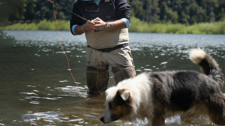 Fisherman Says a Woman Let Her Dog Charge Through His Grandson’s Fishing Spot — Then Insisted It Wasn’t a Fishing Pond