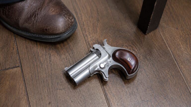 Carrier says a derringer fell out when he sneezed — and the whole thread turned into a brutal conversation about what people call “good enough” carry
