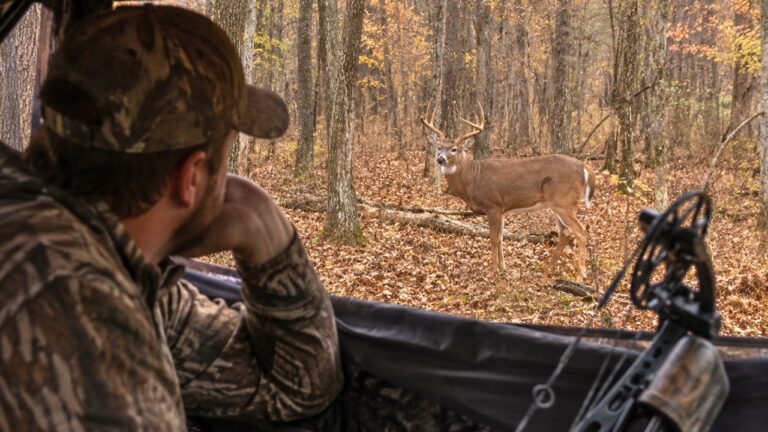 Bowhunter Had a Six-Point Buck Broadside at 30 Yards — Then Realized His Release Was Still in the Truck
