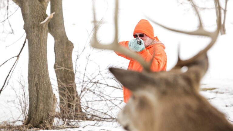Neighbor Shoots a Deer Near the Property Line — Then It Crashes Through Someone’s Living Room Window