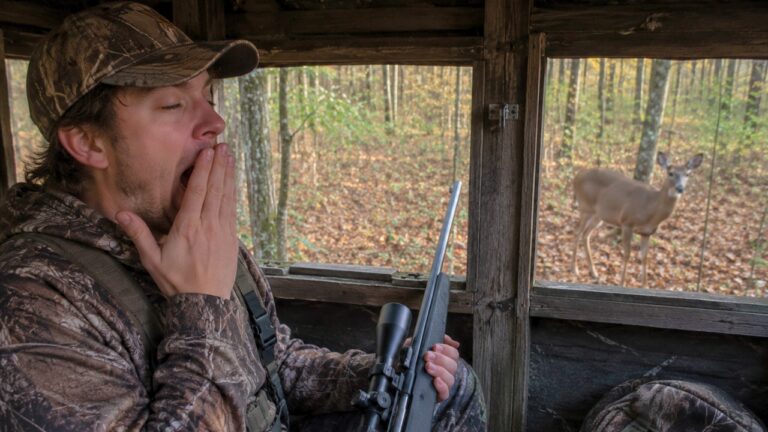 Hunter Woke Himself Up Snoring in the Blind — Then Shot a Doe After the Noise Gave Him Away