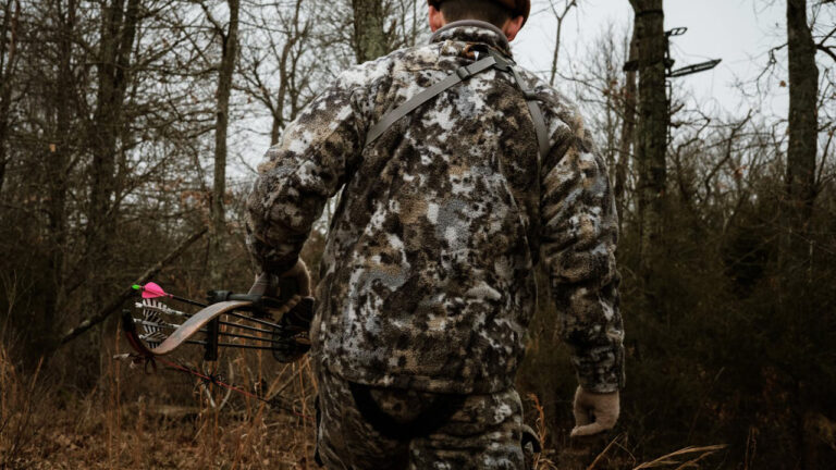 Hunter Tracking Blood Before Sunrise Heard a Bear Growl in the Dark — And He Was in Bow Season With No Firearm