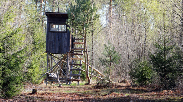 Landowner Says His Neighbor’s Stands Face Straight Into His Property — Then Rifle Season Turned the Boundary Into a Backstop Problem