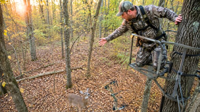 Bowhunter Accidentally Launched His Bow Toward a Doe — Then the Deer Looked at Him Like She Felt Sorry for Him