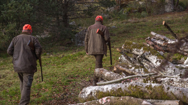 Turkey Hunters Heard Pellets Hit the Ground Near Them Before Legal Light — Then Realized Another Hunter Had Shot at a Roosted Bird