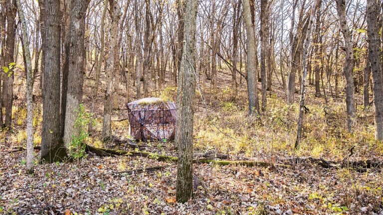 Landowner Says a New Hunter Knocked Over a Stand and Set Up a Blind on His Property