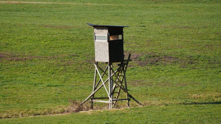 “My Land, Not My Stand”: Hunter Finds a Mystery Deer Stand on His Property and Wonders How Hard to Push Back