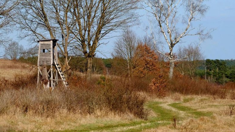 “I’m Trying to Be Safe”: New Landowner Finds a Neighbor’s Deer Stand on the Property Line and Wonders What Happens Next