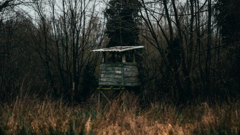 Family Buys 40 Acres and Finds a Stranger’s Stand — Then Notices Someone Moved Their Setup and Strapped It to Another Tree