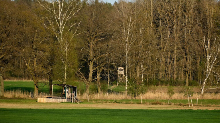 Hunter Says His Neighbor’s Stands Face Straight Into His Property — And Reddit Says a Survey May Be the Only Fix