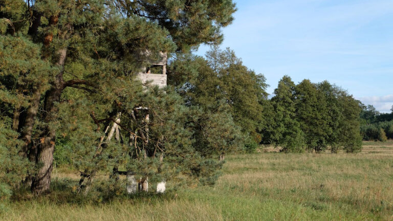 Hunter Finds a Stranger’s Deer Stand on Posted Private Land — Then Realizes It Makes His Own Stands Unsafe