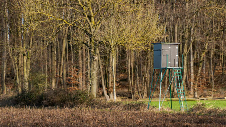 Landowner Finds a Stand, Salt Lick, and Scent Drip on His Property — Then Reddit Says It May Be Time for the Game Warden