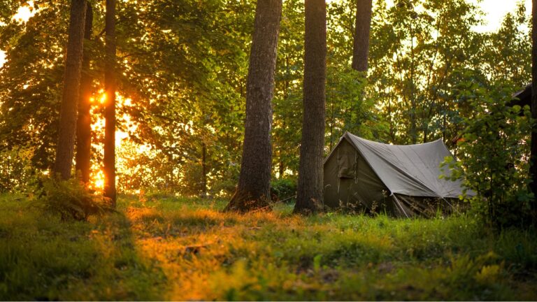 Hunter Finds a Homeless Camp on Private Hunting Land — And Worries One Wrong Move Could Cost Him the Spot