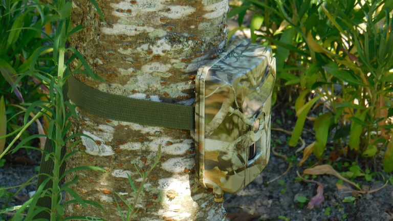 “Should I Keep the Trail Cam?” Hunter Finds a Camera 300 Yards Inside Private Land