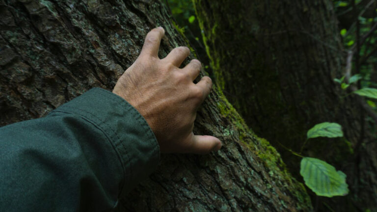 Hunter Says Someone Covered His Trail Camera With Bark — Then He Was Told to Set Cameras Watching Each Other