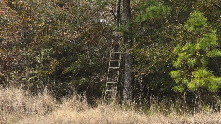 Landowner Finds Stranger’s Tree Stands on Posted Land — And the Next Move Could Start a Fight