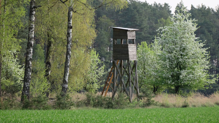 Hunter Says the Neighbor Put a Stand on the Property Line — Then Another Landowner Shares How He Built a Brush Wall to Stop It