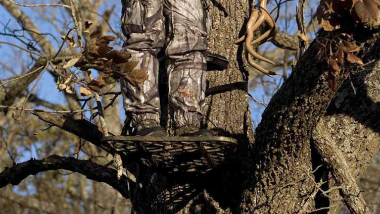 Hunter Says a Ricochet Spun Within Feet of His Stand After the Neighbors Started Shooting