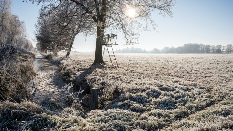 Hunter Walks Land He Has Permission to Use — Then Finds Two Tree Stands That Aren’t His