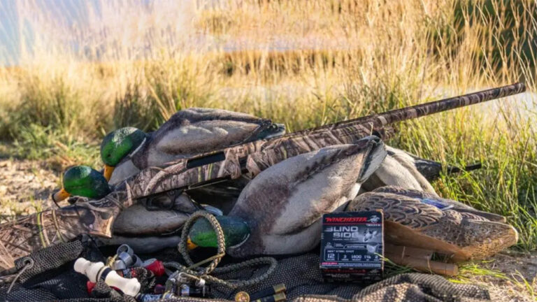 15 Reasons the Winchester SXP Is Still One of the Most Underestimated Pump Shotguns