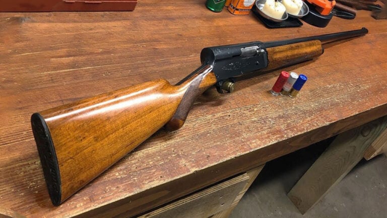 20 Guns People Passed On and Still Regret