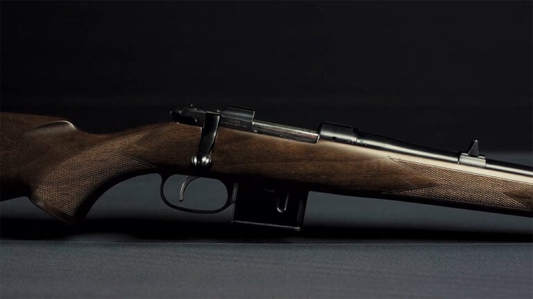 15 rifles that became more desirable after everyone ignored them