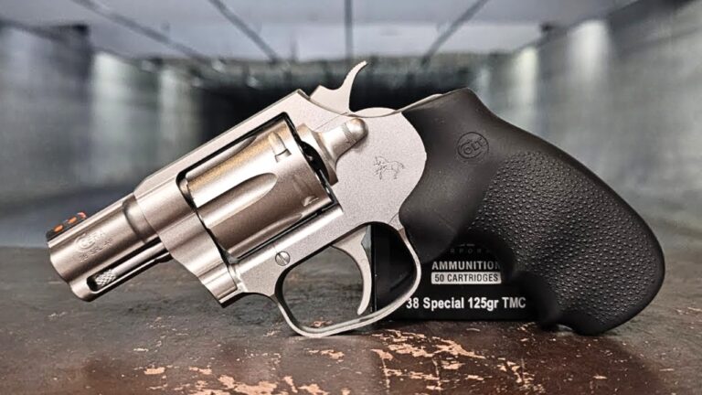 Handguns People Wish They Bought Earlier