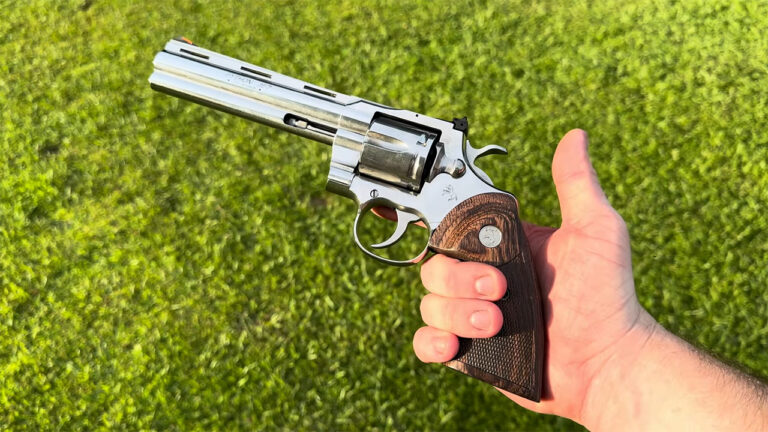 20 Guns That Went From Overlooked to Overpriced