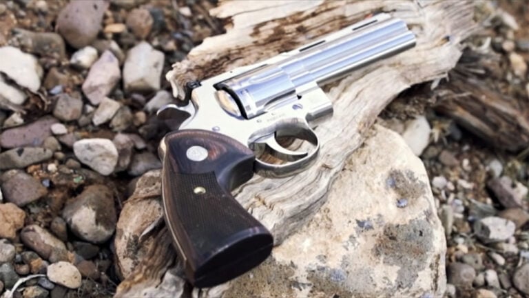 20 Revolvers I Would Snap Up if I Saw Them Listed for What They Sold for in 2015