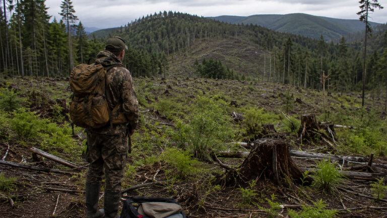 Hunter Pays $18,000 for a Guided Bull Elk Hunt — Then Gets Dropped Alone in a Clear-Cut While the Outfitter Keeps the Deposit