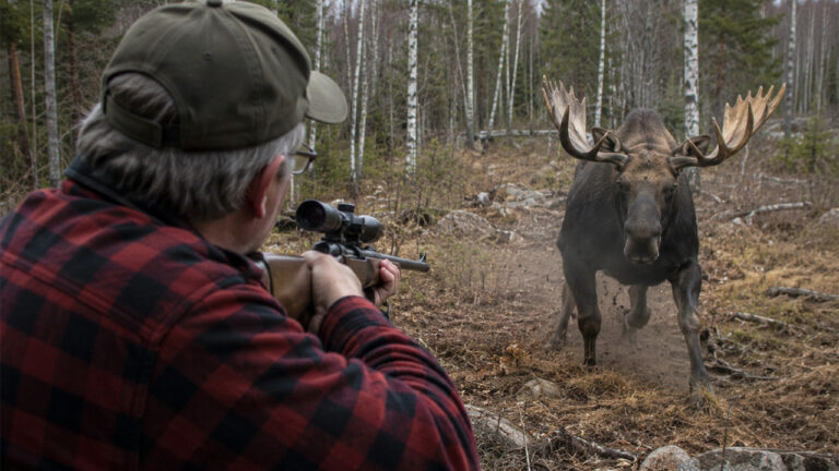Hunter Shoots a Charging Moose on His Own Property — Then Fish and Wildlife Charges Him for Taking a Protected Animal Without a Permit