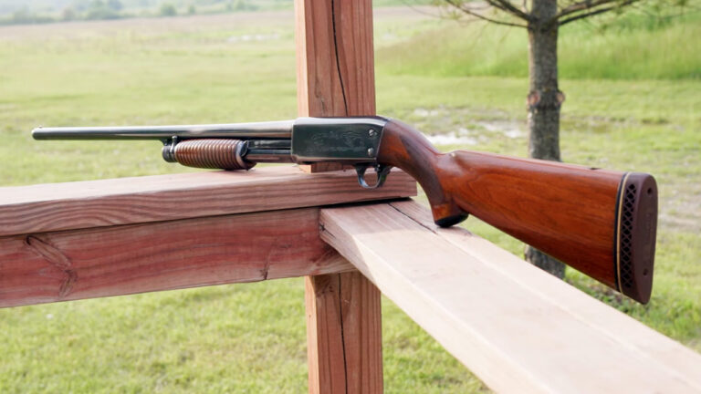 20 Guns That Turned Into Keepers After Everyone Moved On