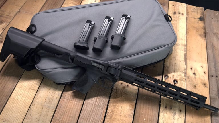 20 Hog Hunting Guns That Guides Quietly Laugh At
