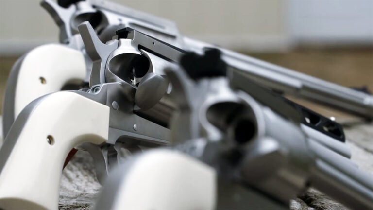 20 Firearms That Don’t Belong in a 72-Hour Kit