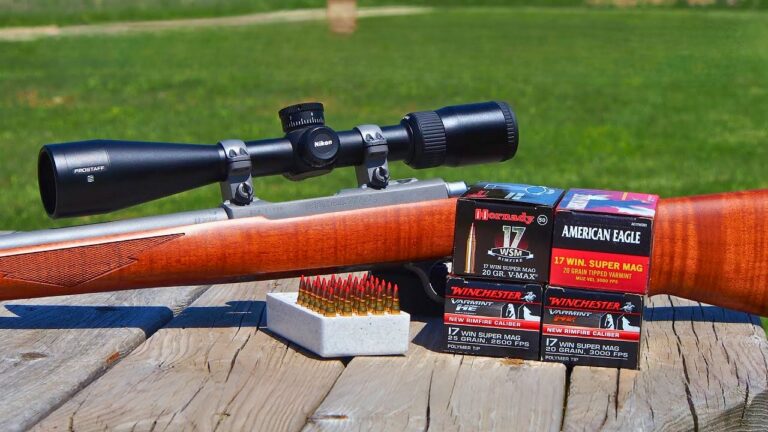 15 Guns People Ignored Until Everyone Else Wanted Them