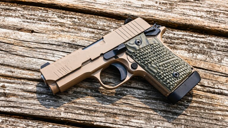 Avoid These Carry Guns If You Actually Plan to Train