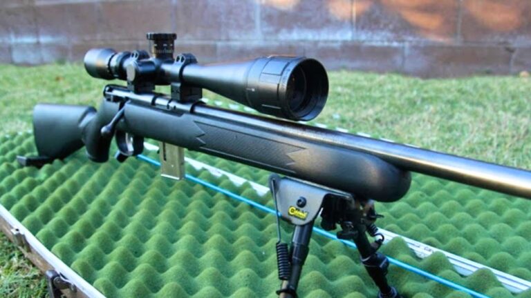 Guns That Quietly Won People Over