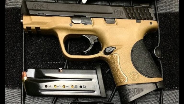 Handguns that owners defend because they have actually earned it