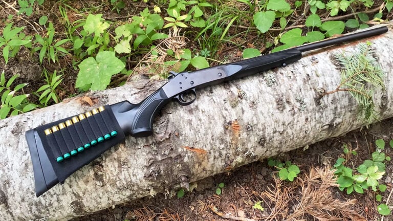20 Guns That Became Safe Queens for a Reason
