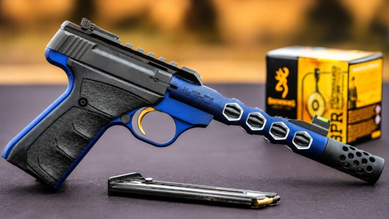 The Best .22 Pistols for Range Day